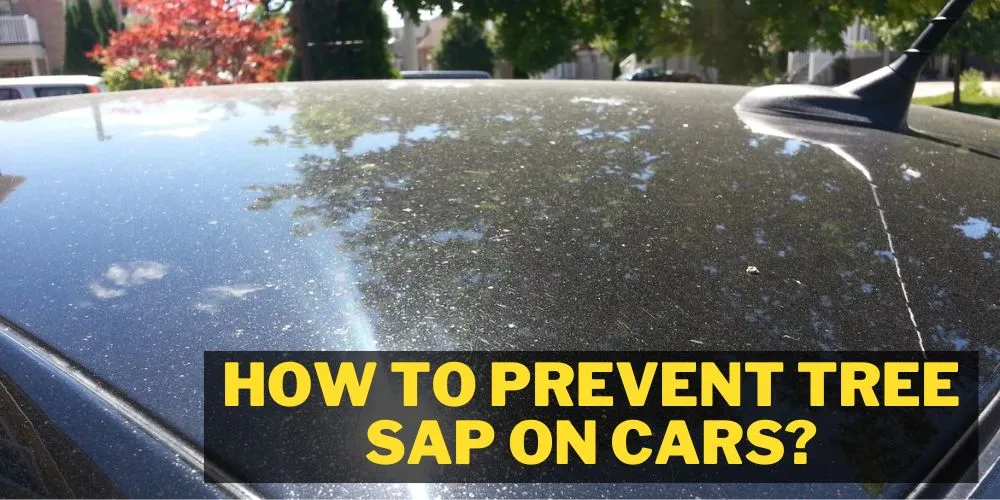 How to prevent tree sap on cars